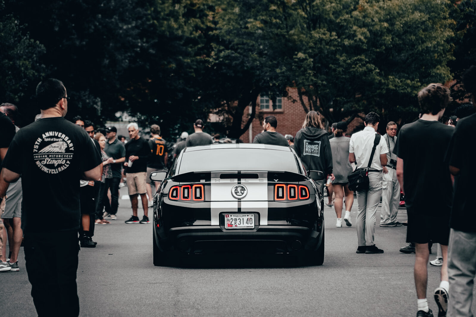 A black and white Shelby Mustang, rear view, at a car meet.