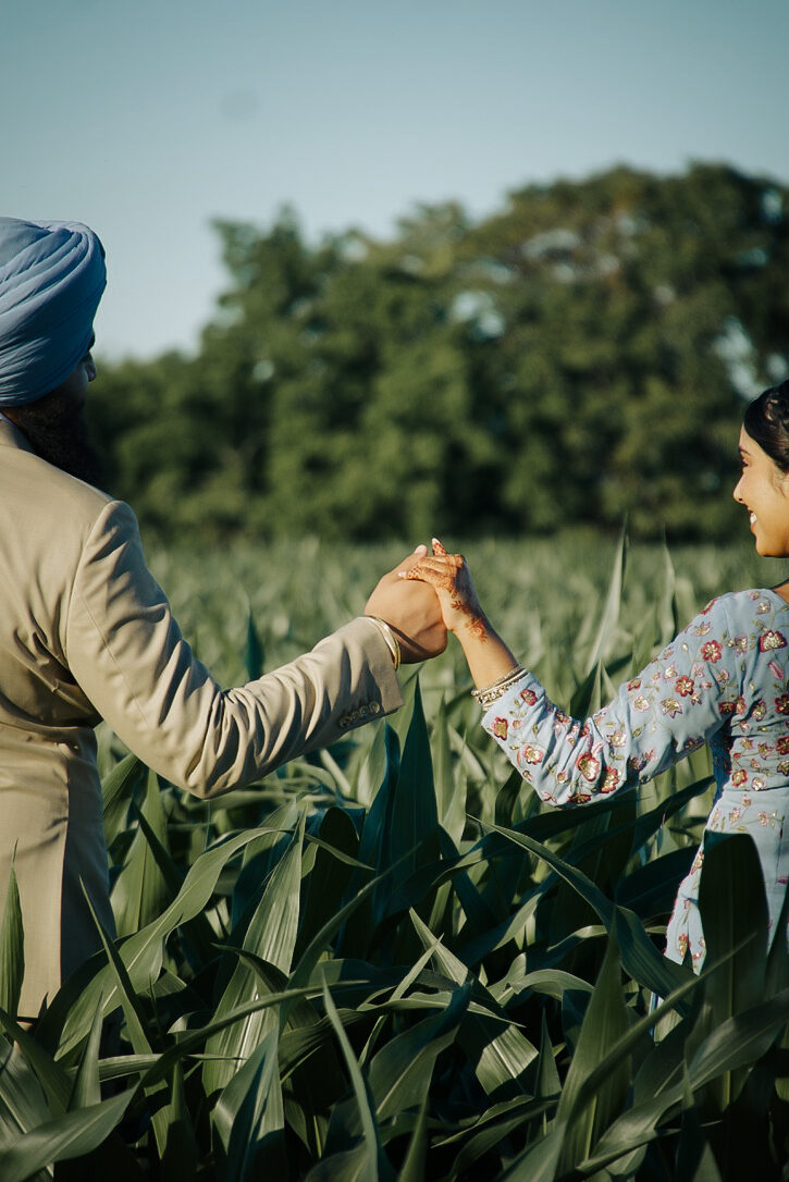 A couple walking hand in hand through a cornfield.